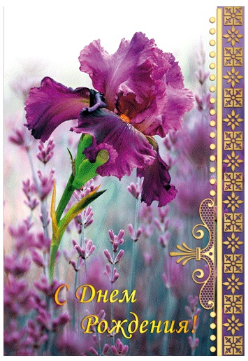 Открытка "С Днем Рождения" Ирис (12х18 см)